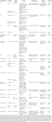 Potential Therapeutic Strategies for Renal Fibrosis: Cordyceps and Related Products